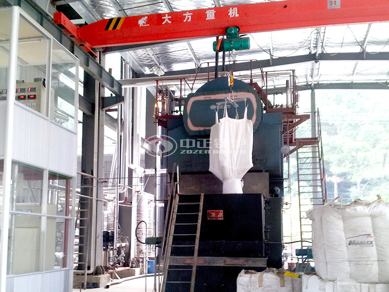 8吨天然气蒸汽炉制造商