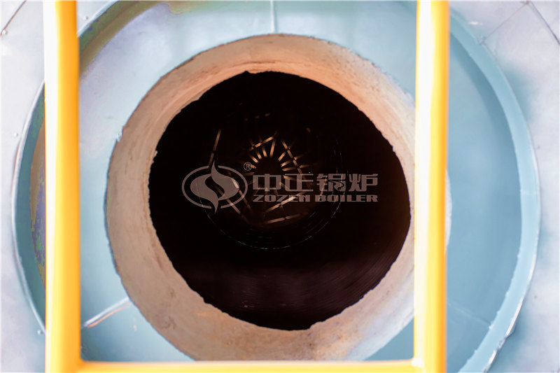 DHL天然气蒸汽炉便宜吗