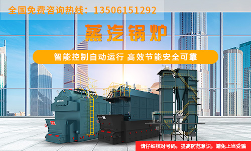 2*35t/h低氮燃气锅炉
