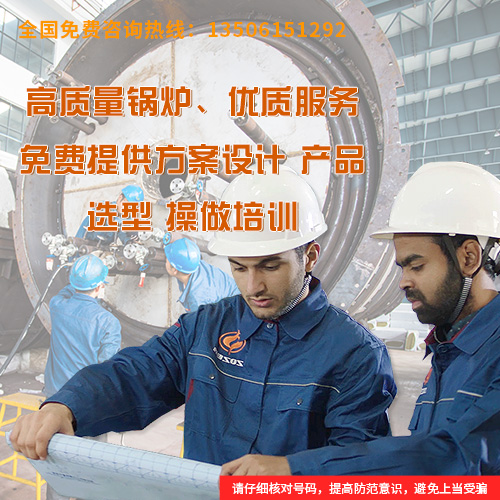 12吨锅炉