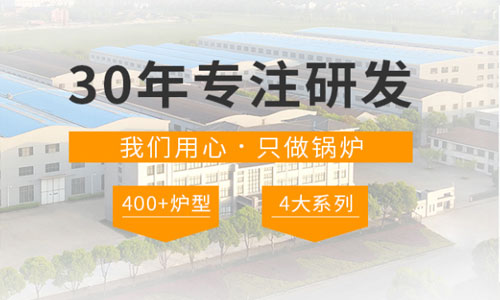 4吨燃煤蒸汽锅炉