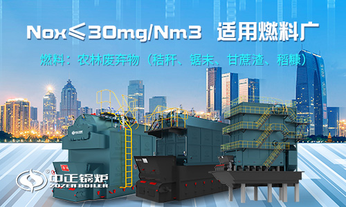 沼气蒸汽锅炉