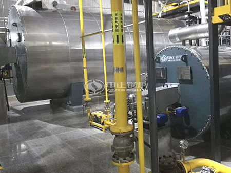 DHL29热水锅炉水循环